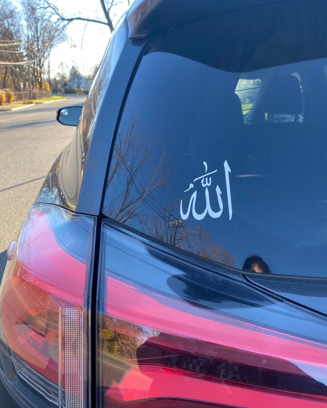 car decal/ vinyl stickers